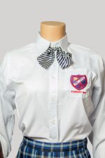 Gallery - Image 53